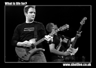 Filename=What_is_life_for_IMG_2414m.jpg
Filesize=191KiB
Dimensions=792x566
Date added=Dec 30, 2008 What_is_life_for_IMG_2414m.jpg